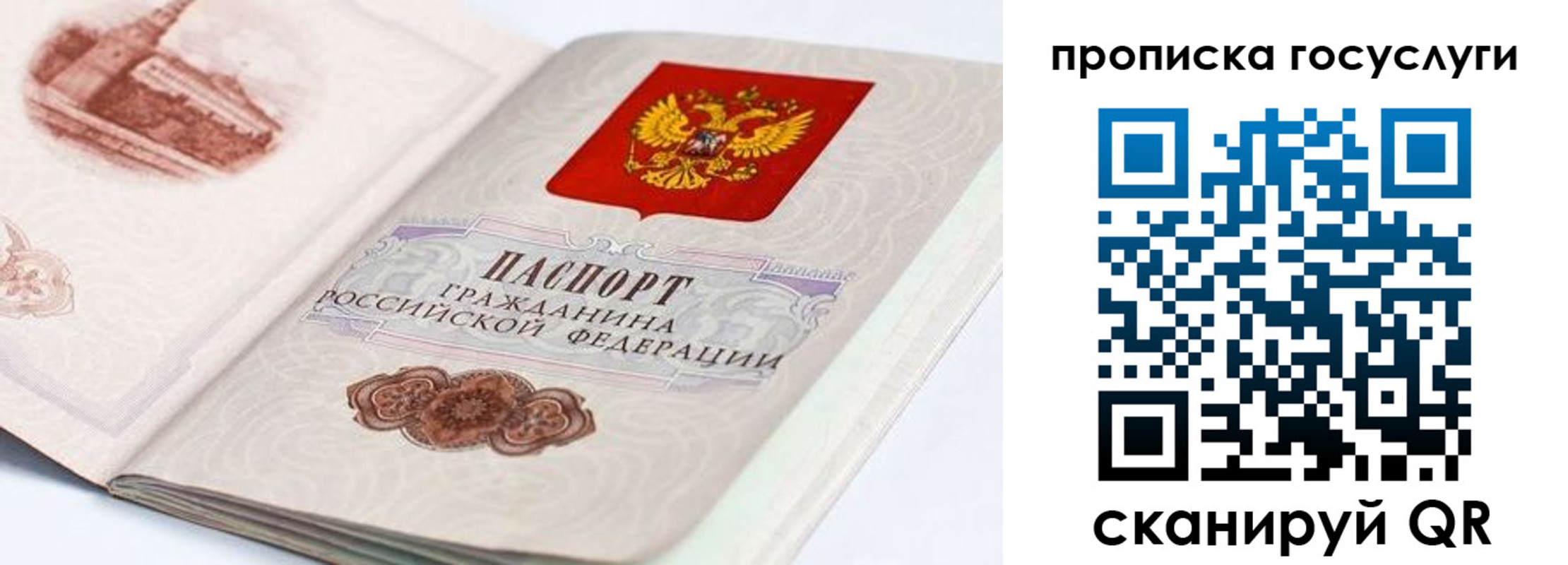 прописка гарантия в Муравленко